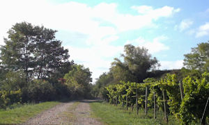 Kriegsheim - Scenes 18.jpg